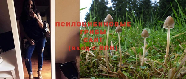 прущая мука Михайловск