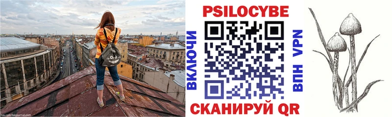 Псилоцибиновые грибы мухоморы Лабинск