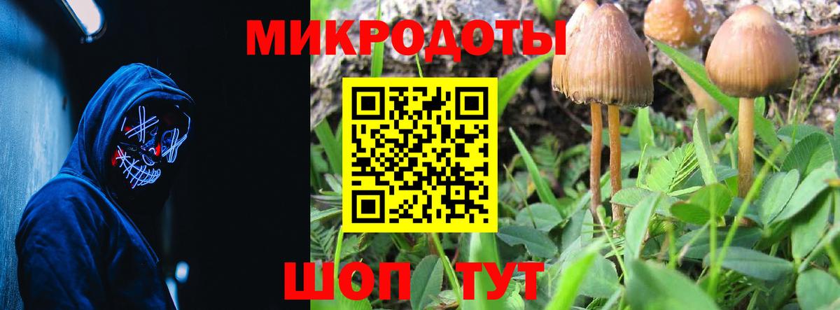 Лабинск  где продают наркотики  Вход с VPN  Псилоцибиновые грибы мицелий 